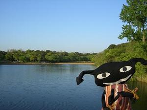 06000503_007 06000503_007