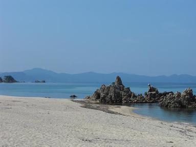 08091641_004 08091641_004