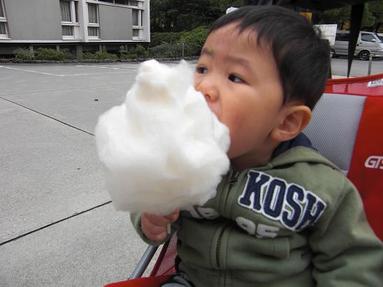 081109_009 081109_009