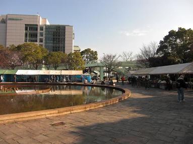 081228_001 081228_001