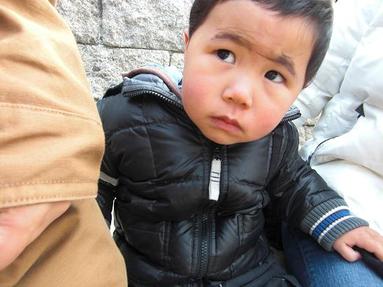 09013001_026 09013001_026