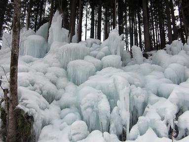 0902112_002 0902112_002