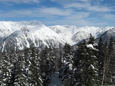 0902112_005 0902112_005