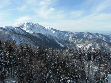 0902112_009 0902112_009