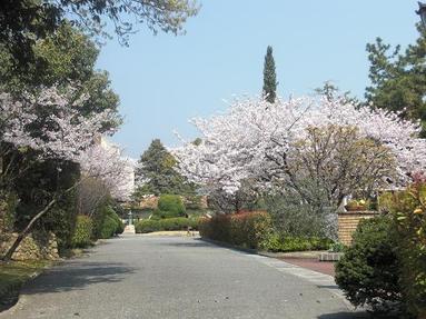 090405_002 090405_002