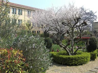 090405_003 090405_003