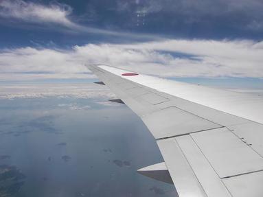 09091141_001 09091141_001