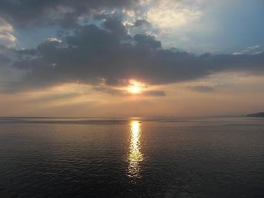 09091343_001 09091343_001