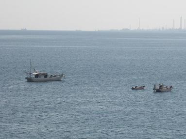 09091343_003 09091343_003