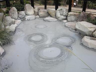 09091343_010_2 09091343_010_2