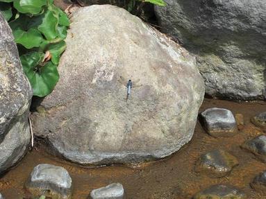 09091343_019 09091343_019