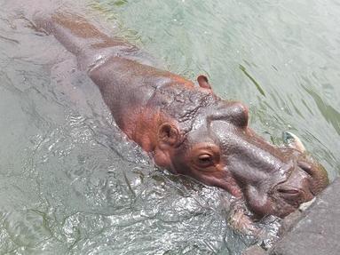 09091343_022 09091343_022