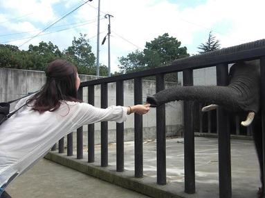 09091343_027 09091343_027