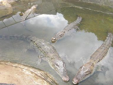 09091343_033 09091343_033