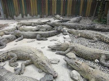 09091343_034 09091343_034