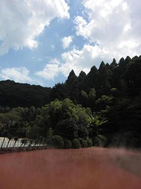 09091343_037 09091343_037