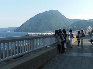 09091343_043 09091343_043