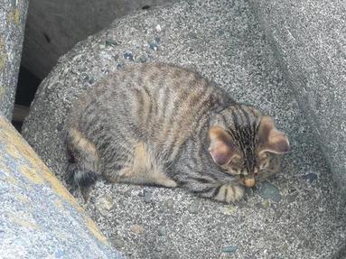 09091343_044 09091343_044