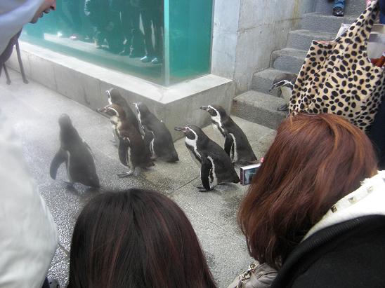 100314・卒業旅行1 016