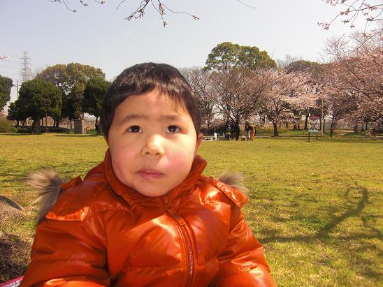 100330・大泉緑地公園など 004 100330・大泉緑地公園など 004