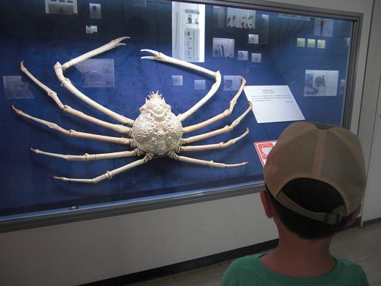 100704・長居博物館・兵庫保育の集い 003