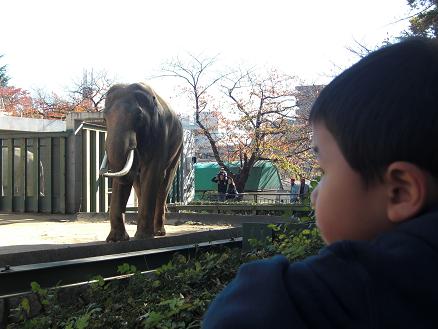 101127・王子動物園と沖縄屋 012