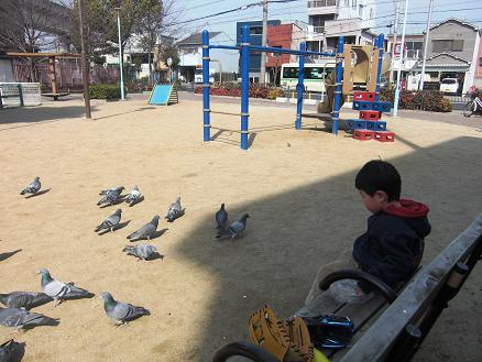 110223・ハト公園 001