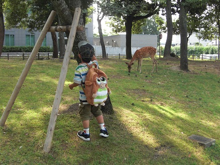110723・奈良自治体学校ユウシン (1) 110723・奈良自治体学校ユウシン (1)