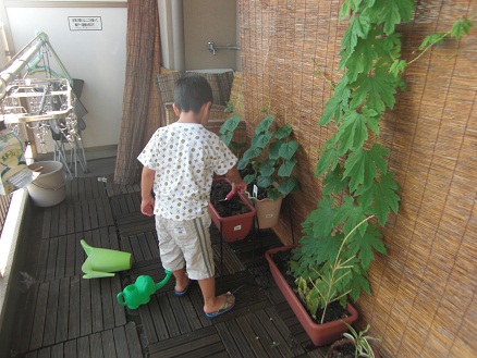 110724・医労連・ベランダ・復興本 (7)