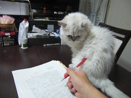 110707・チェリー (2)