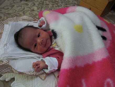 111226・起きて寝るアサ (2) 111226・起きて寝るアサ (2)