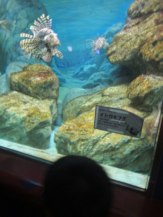 111022・須磨・朝日ホール・宴会 (5) 111022・須磨・朝日ホール・宴会 (5)