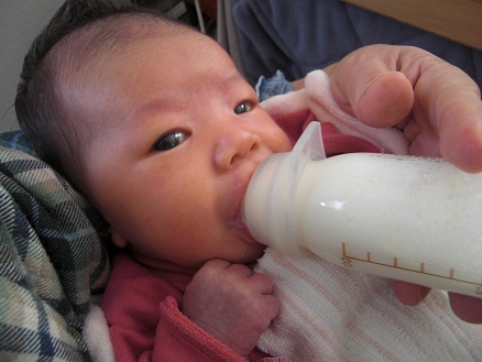 111228・ミルクを飲むアサ (1) 111228・ミルクを飲むアサ (1)