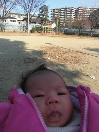 120101・元日 (7) 120101・元日 (7)