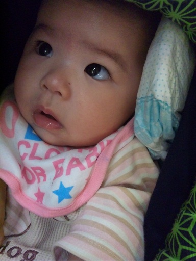 120501・スリングのアサ (1) 120501・スリングのアサ (1)