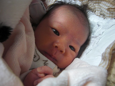 アサ・空手 (1) アサ・空手 (1)