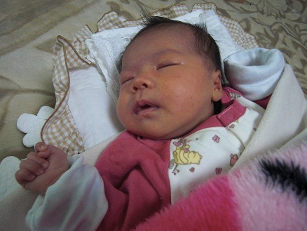 111226・起きて寝るアサ (1) 111226・起きて寝るアサ (1)