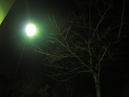 120117・夜の大学 (1) 120117・夜の大学 (1)