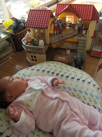 120122・シルバニアとウルトラ (1) 120122・シルバニアとウルトラ (1)