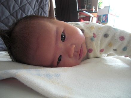 120216・アサ (1) 120216・アサ (1)