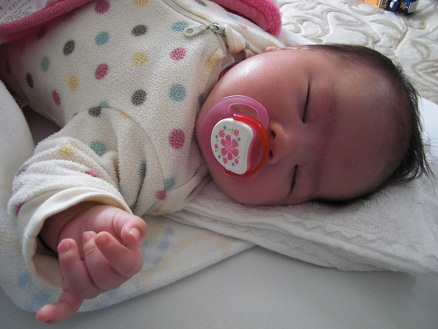 120216・アサ (7) 120216・アサ (7)