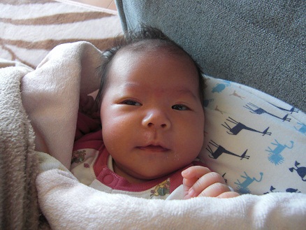 120107・アサ眠る (2) 120107・アサ眠る (2)