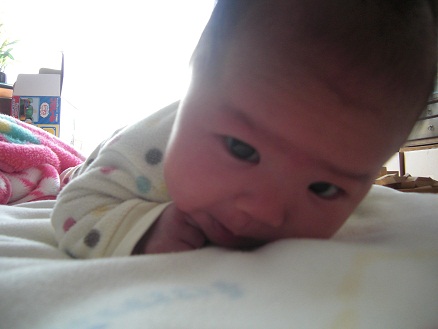 120216・アサ (5) 120216・アサ (5)