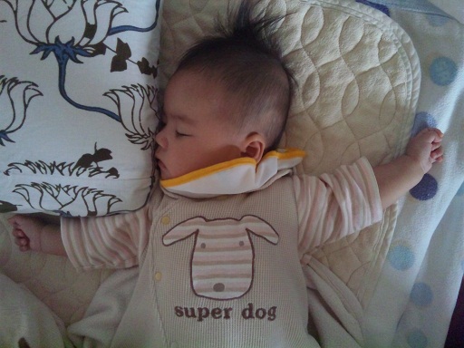 120501・風邪引きアサ (1) 120501・風邪引きアサ (1)