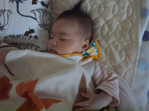 120501・風邪引きアサ (3) 120501・風邪引きアサ (3)