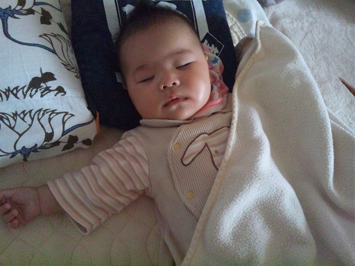 120501・風邪引きアサ (2) 120501・風邪引きアサ (2)