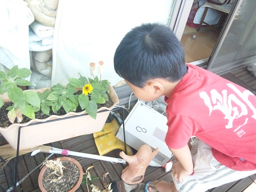 120810 今日のザ・新参ズ (2)