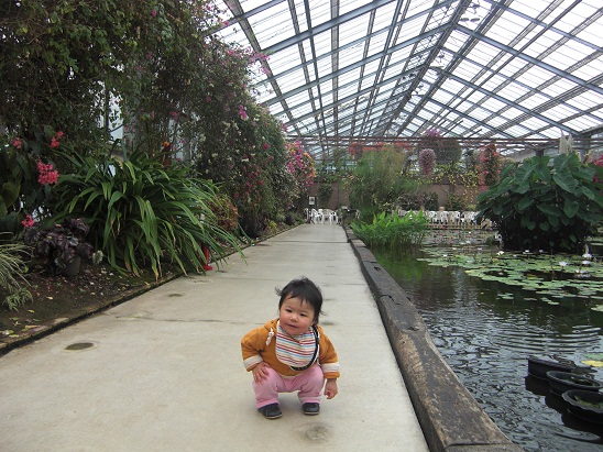 130402 花鳥園 (2) 130402 花鳥園 (2)