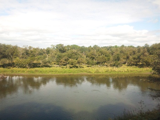 120926 釧路3日目 (9) 120926 釧路3日目 (9)