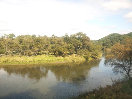 120926 釧路3日目 (10) 120926 釧路3日目 (10)